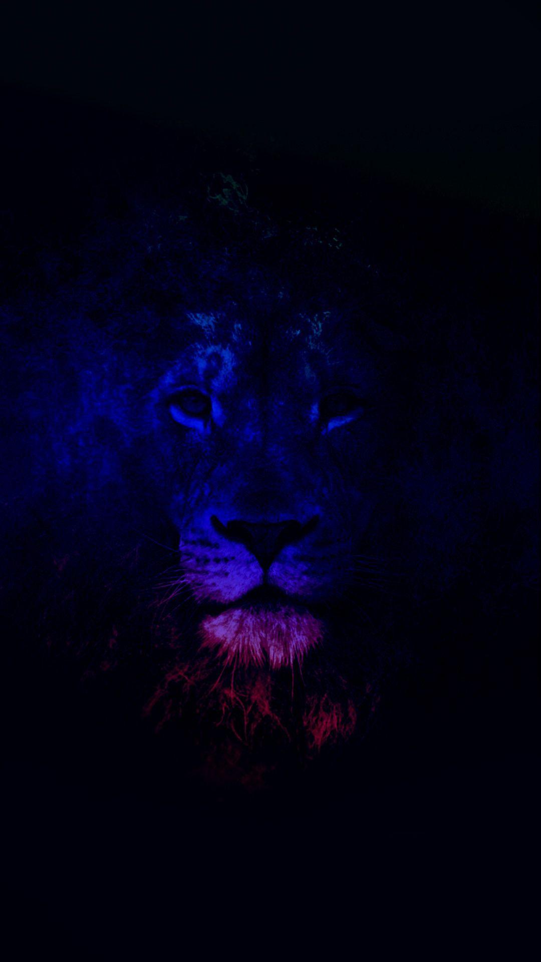 1080x1920 Black Lion HD Wallpaper Lion, Download Wallpaper
