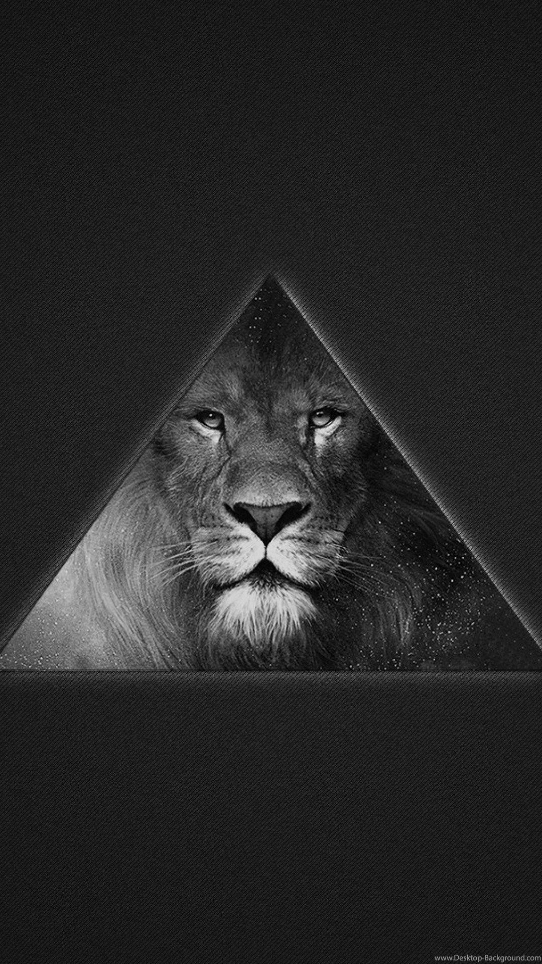 Black lion Wallpapers Download | MobCup