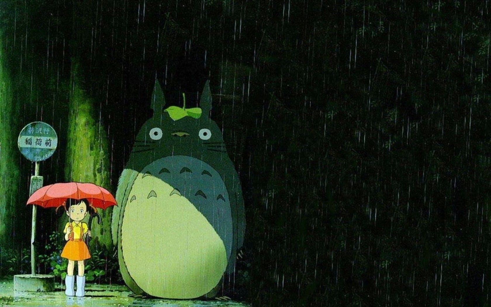 Cool Totoro Wallpapers - Top Free Cool Totoro Backgrounds - WallpaperAccess