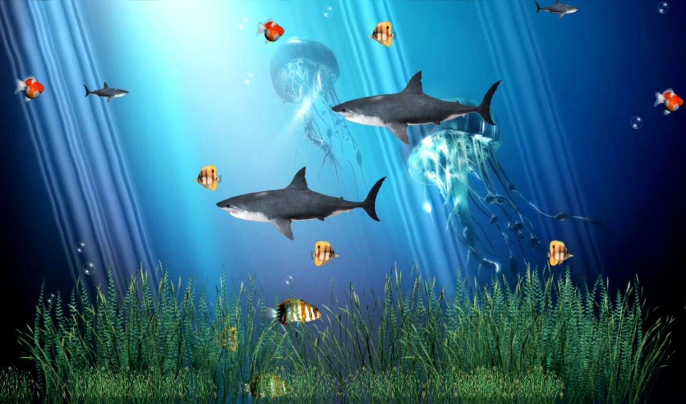 1333x785 Free Living Marine Aquarium 2 Animated Wallpaper Windows 7