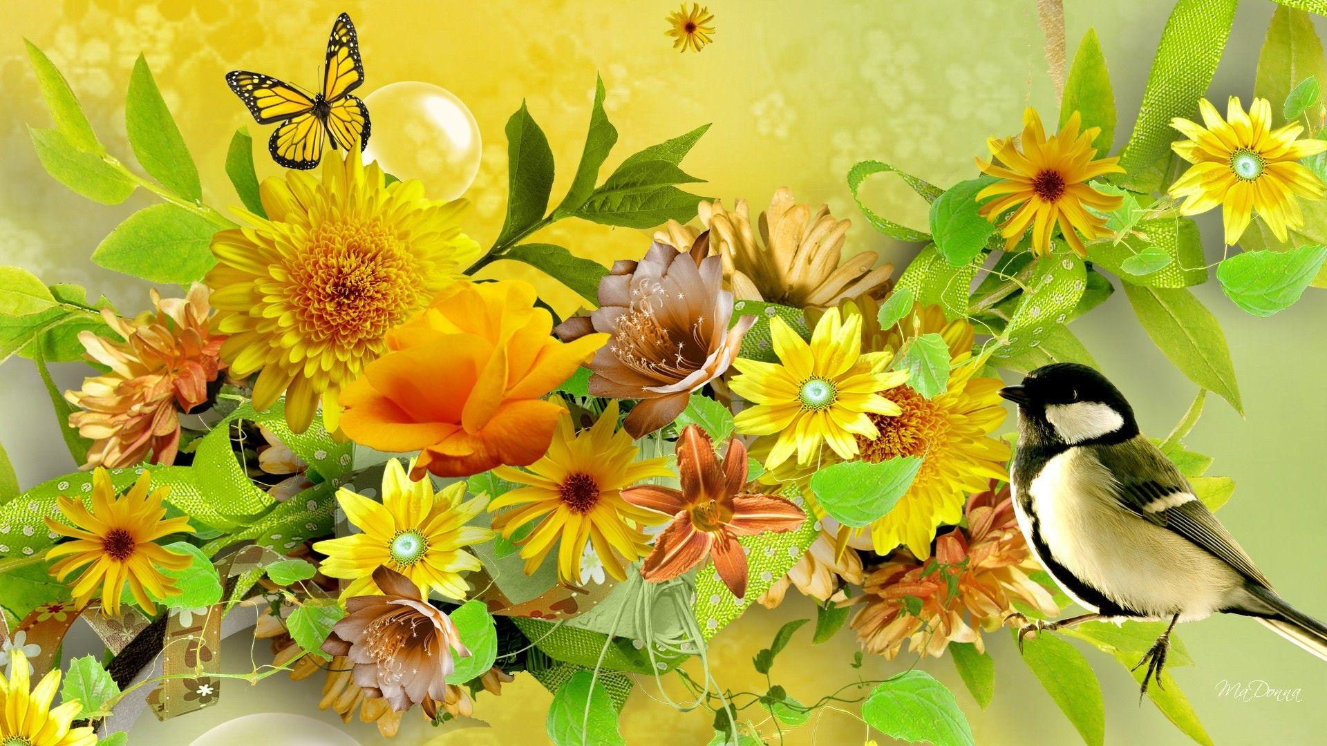 Butterfly Garden Wallpapers - Top Free Butterfly Garden Backgrounds