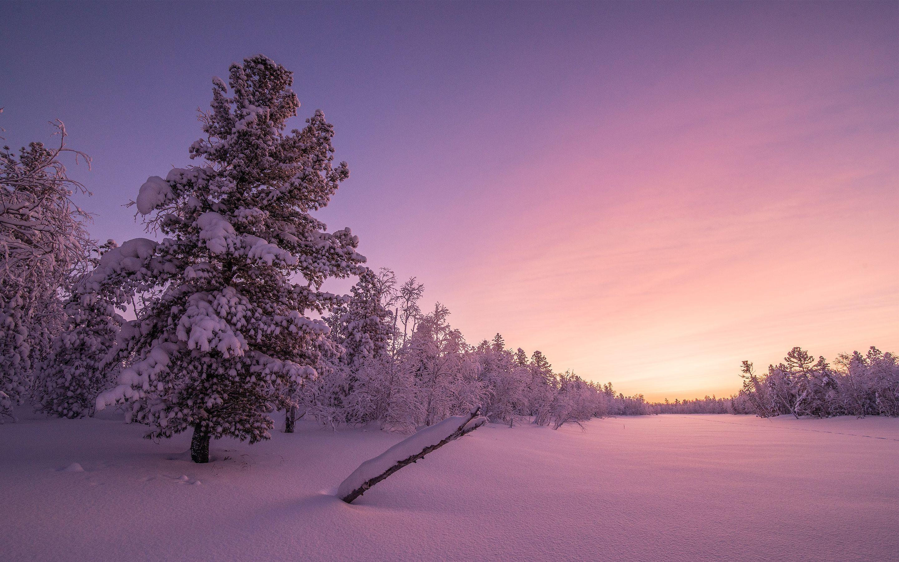 2880x1800 Beautiful 4K Winter HD Wallpaper
