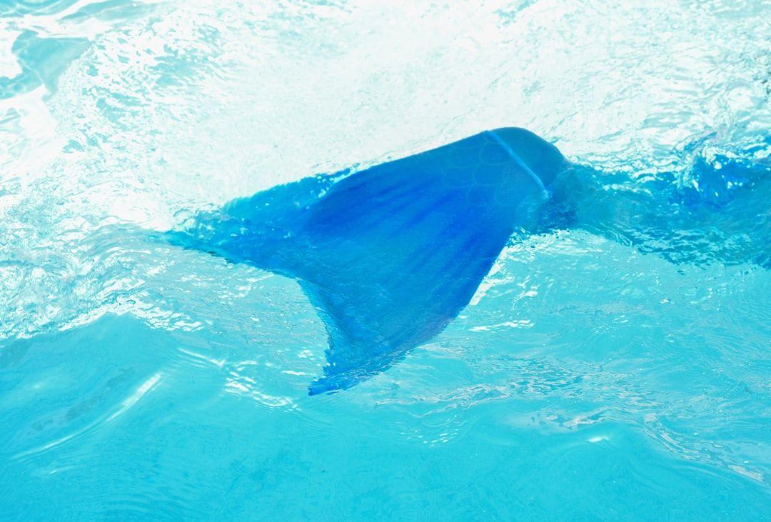 1080x731 Mermaid Tail Picture. Download Free Image