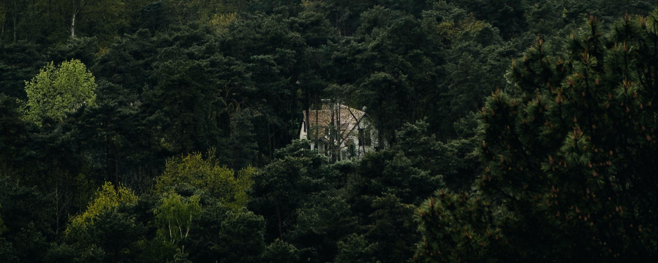 2560x1024 Download wallpaper 2560x1024 forest, house, lonely, aerial