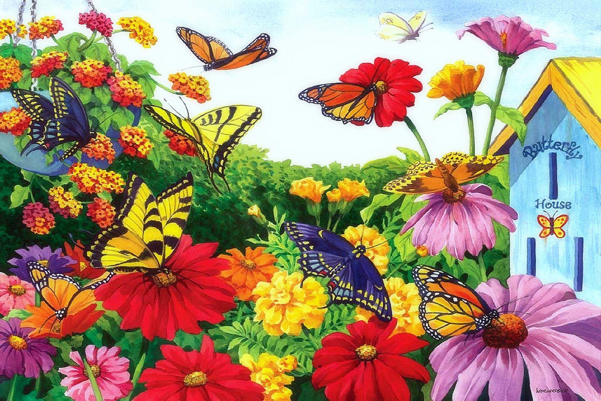 Butterfly Garden Wallpapers - Top Free Butterfly Garden Backgrounds