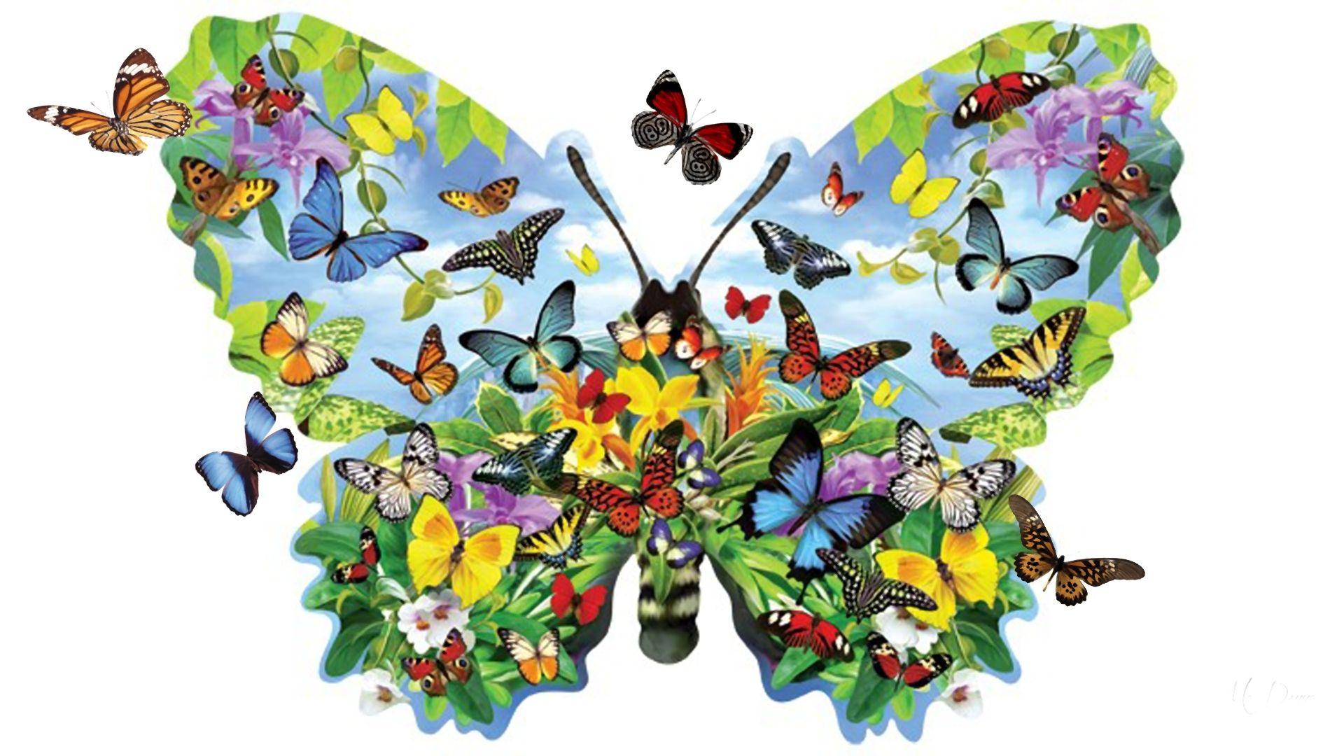 Butterfly Garden Wallpapers - Top Free Butterfly Garden Backgrounds