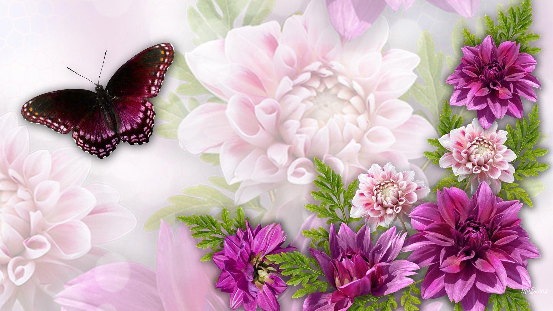 Butterfly Garden Wallpapers - Top Free Butterfly Garden Backgrounds ...