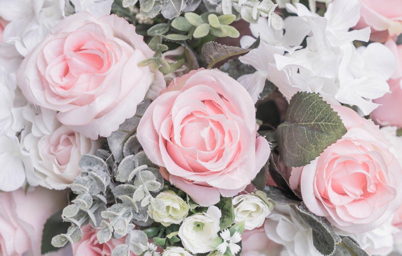 Pastel Roses Wallpapers - Top Free Pastel Roses Backgrounds - WallpaperAccess