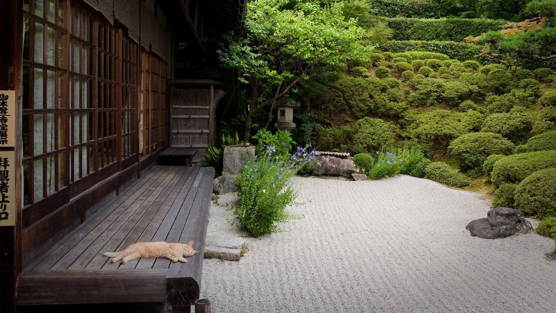 1920x1080 Japanese Garden wallpaper « Cool Wallpaper. Garden