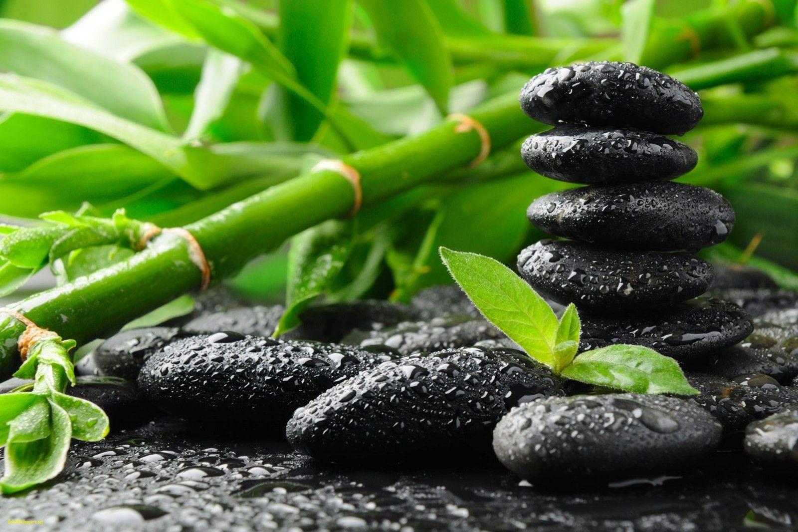 1600x1066 Zen Garden Wallpaper Fresh Image Zen