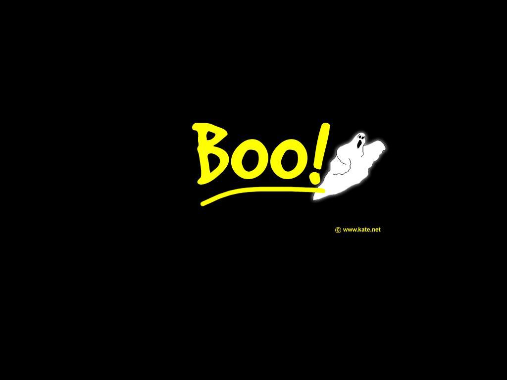 1024x768 Free download wallpaper boo the dog wallpaper desktop