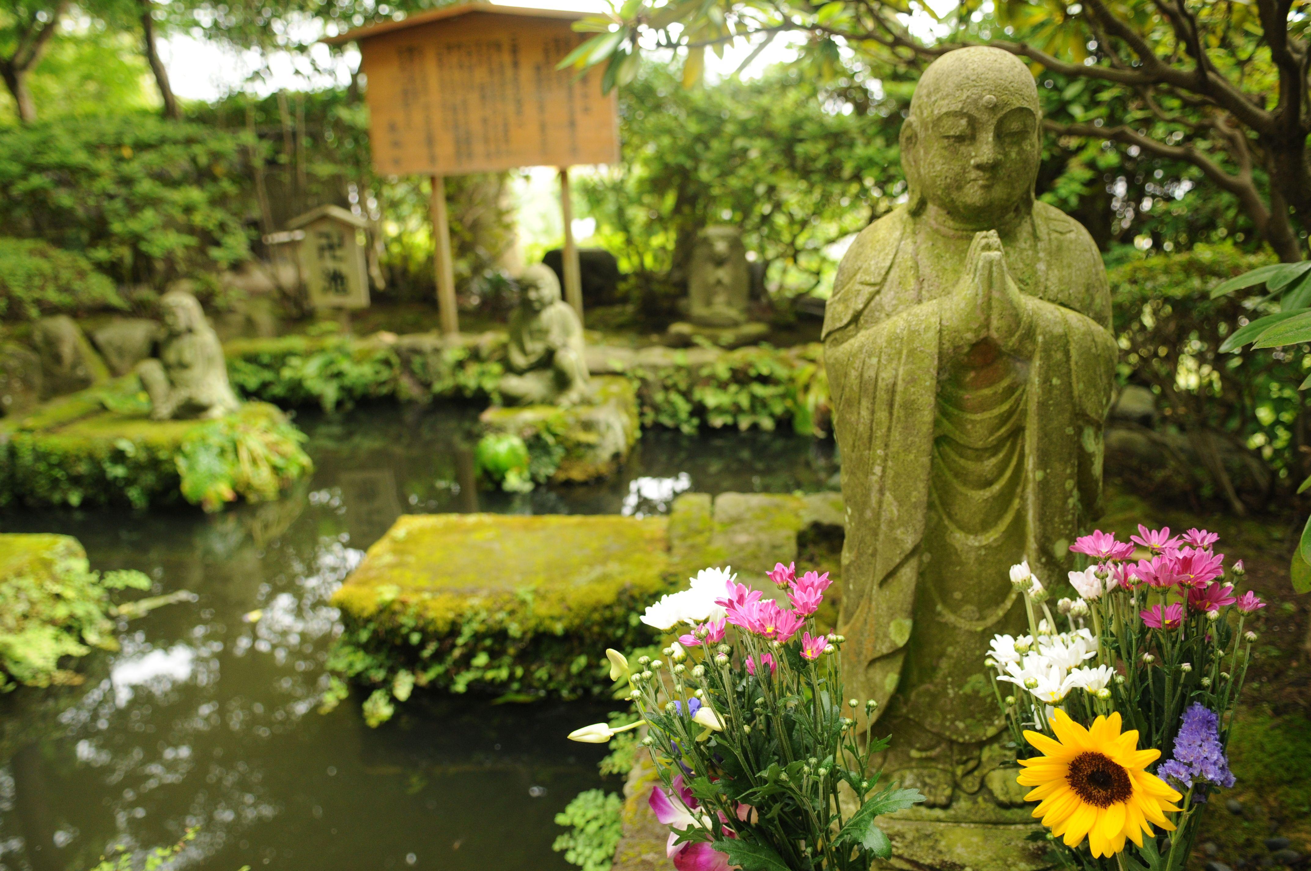 4288x2848 631x300px 150.47 KB Zen Garden