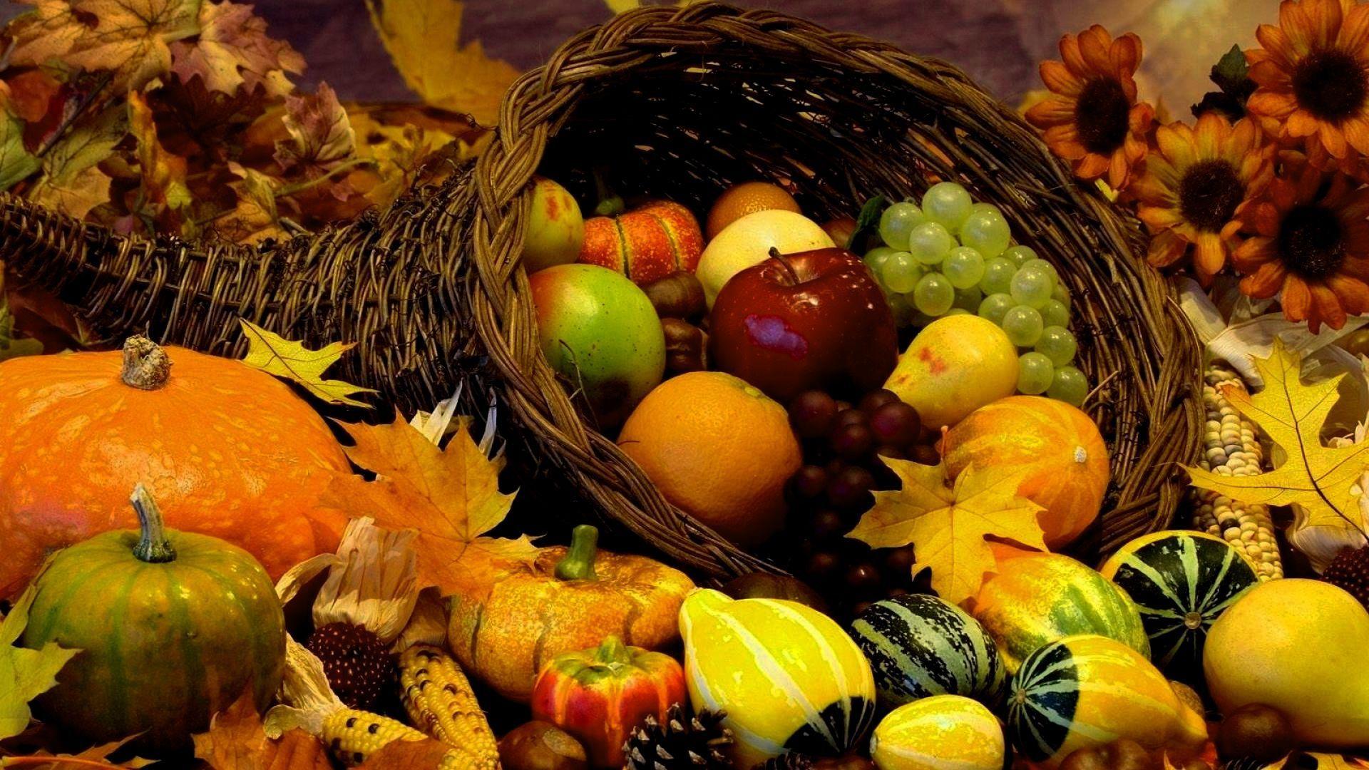 Harvest Wallpapers - Top Free Harvest Backgrounds - WallpaperAccess