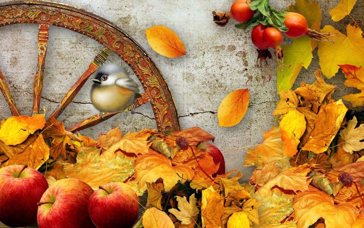 Harvest Wallpapers - Top Free Harvest Backgrounds - WallpaperAccess