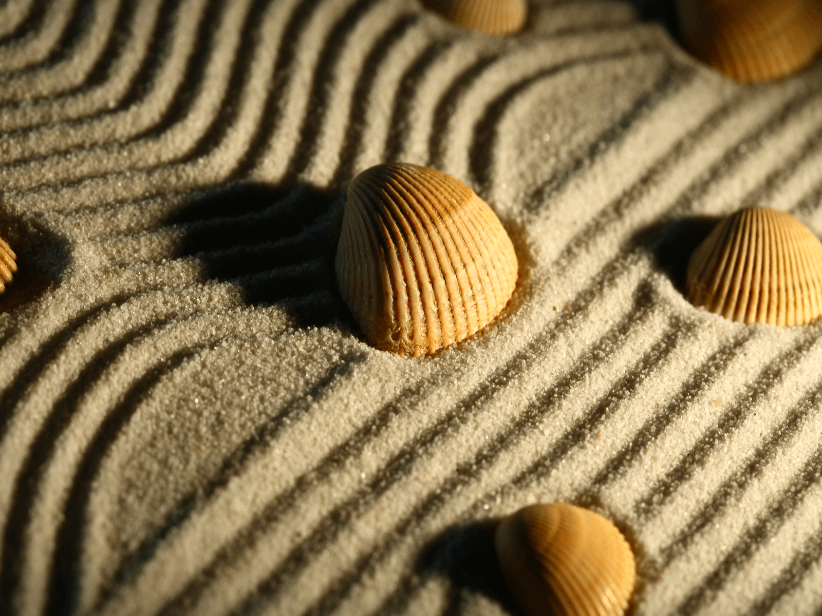 1600x1200 Zen Garden Wallpaper HD 42667 1600x1200 px