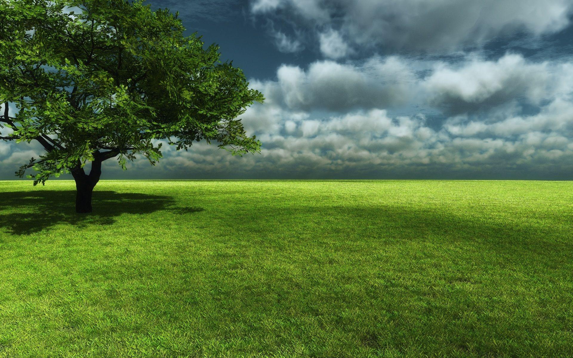 1920x1200 Lovely Zen Garden Wallpaper Widescreen