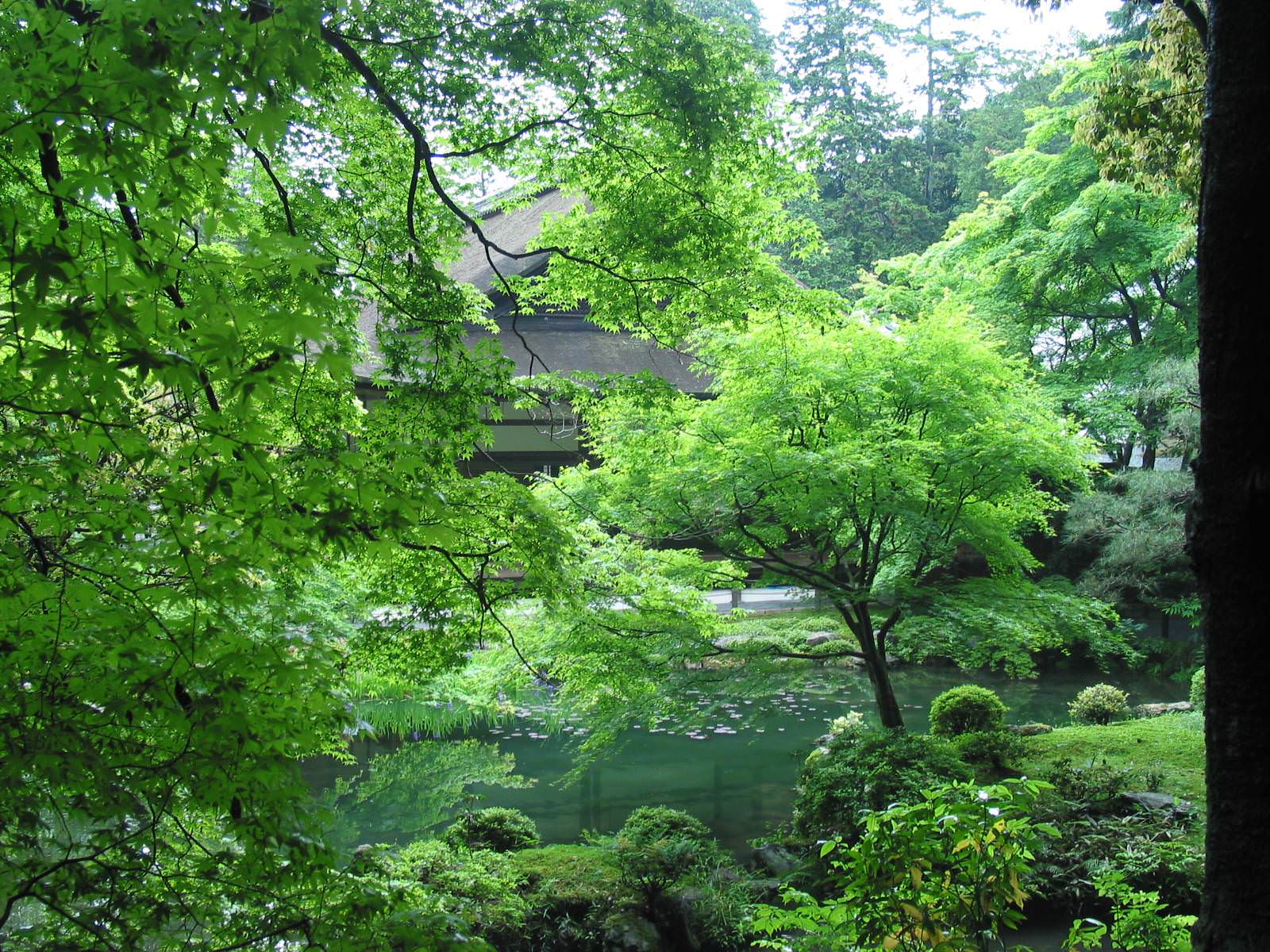 1600x1200 Zen Garden Wallpaper HD (16).