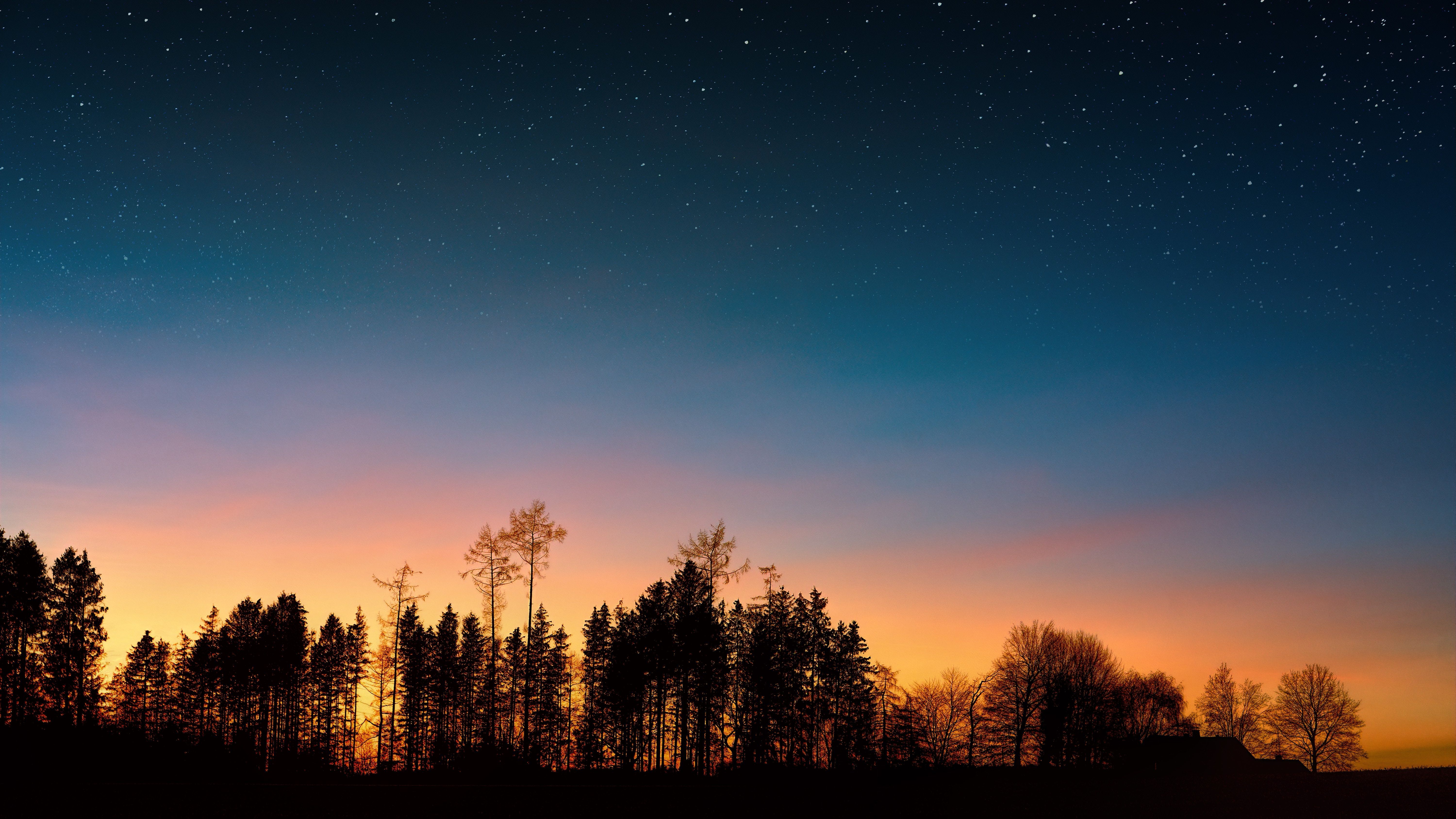 6000x3375 Wallpaper Night Sky, Sunset, Tree, Night, Nature, Background Free Image