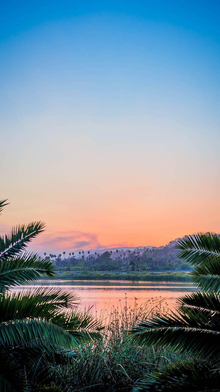 736x1308 Welcome To The Jungle iPhone Xs Max Wallpaper. Fundaluri, Poze