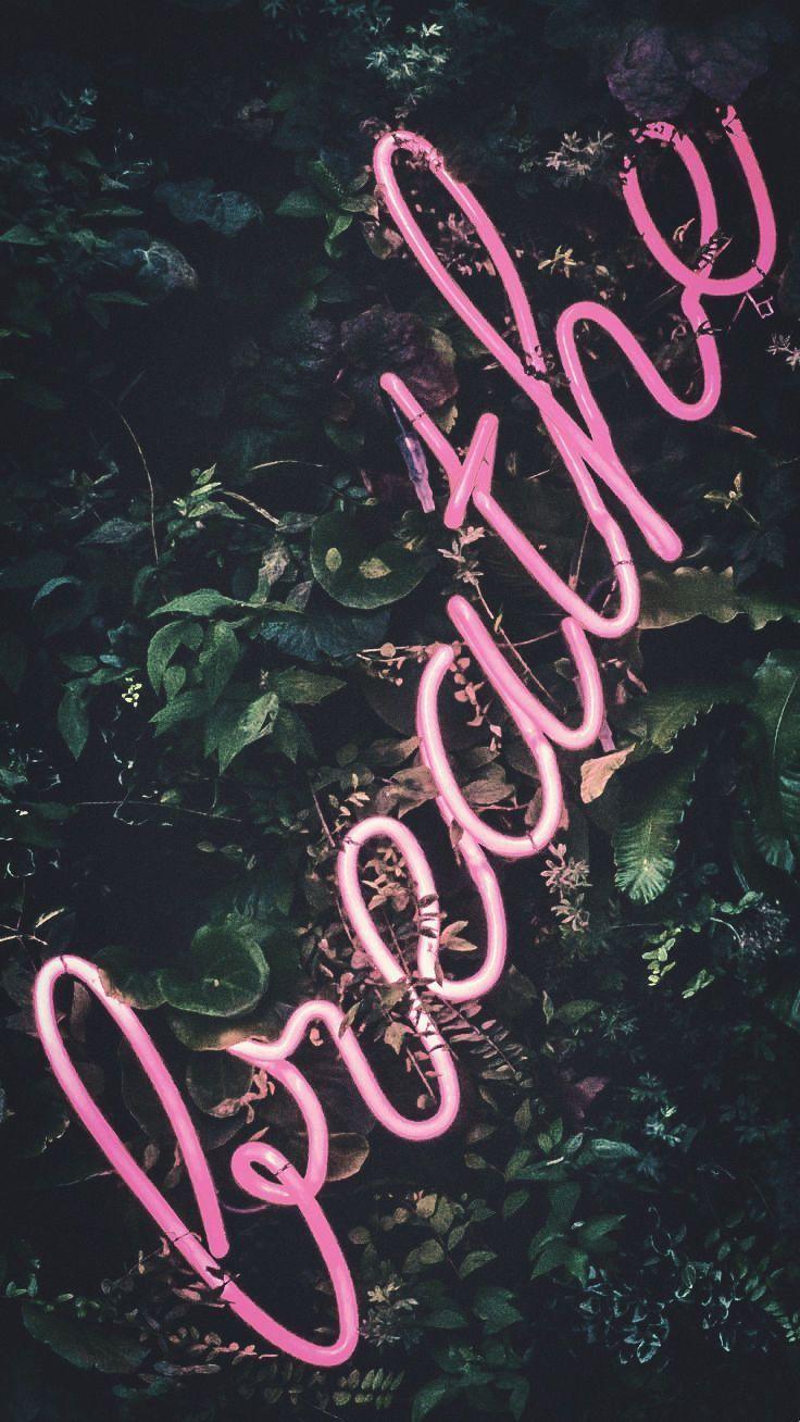 736x1308 iPhone XS Max Wallpaper