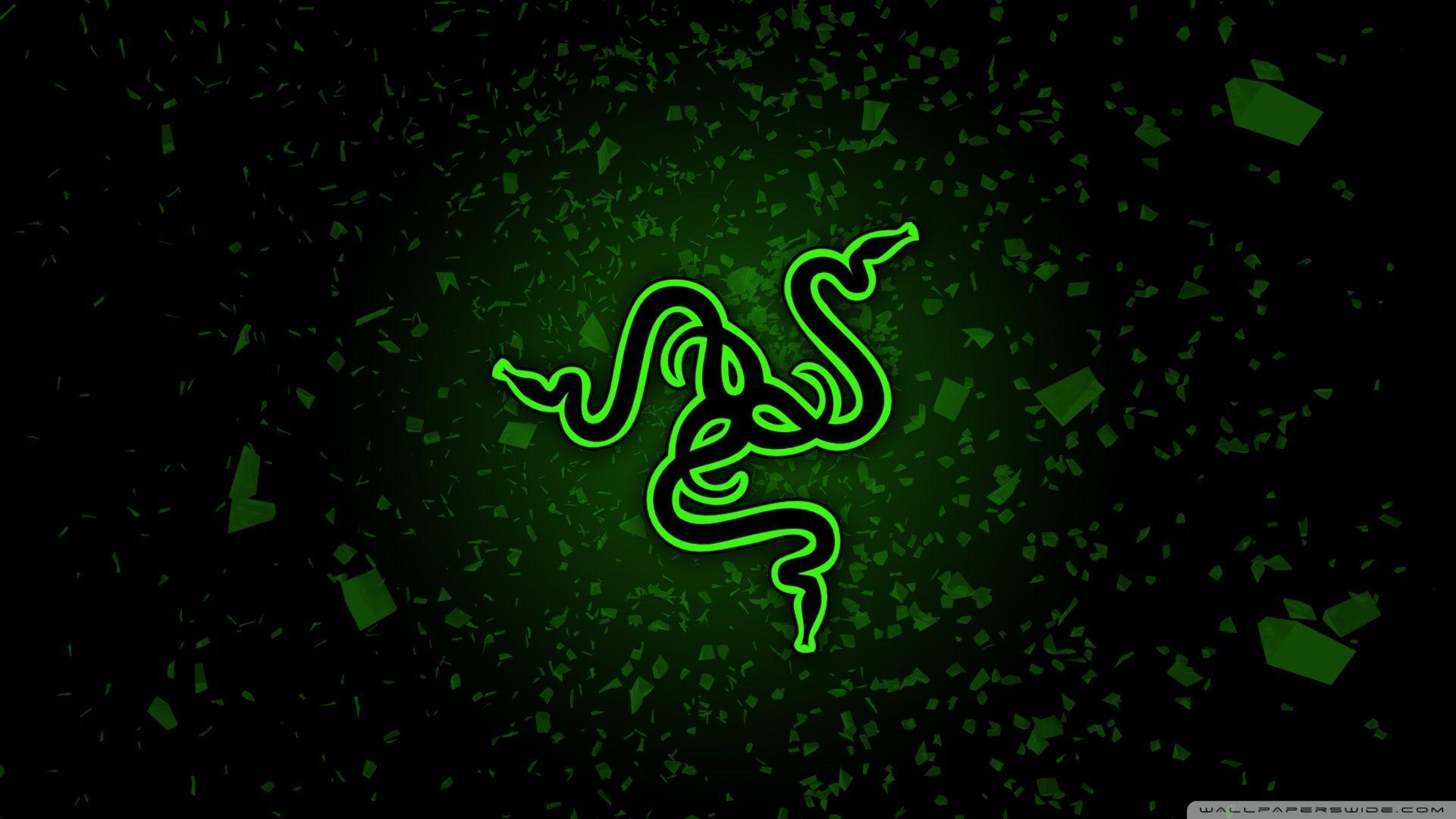 Razer Wallpapers Top Free Razer Backgrounds Wallpaperaccess