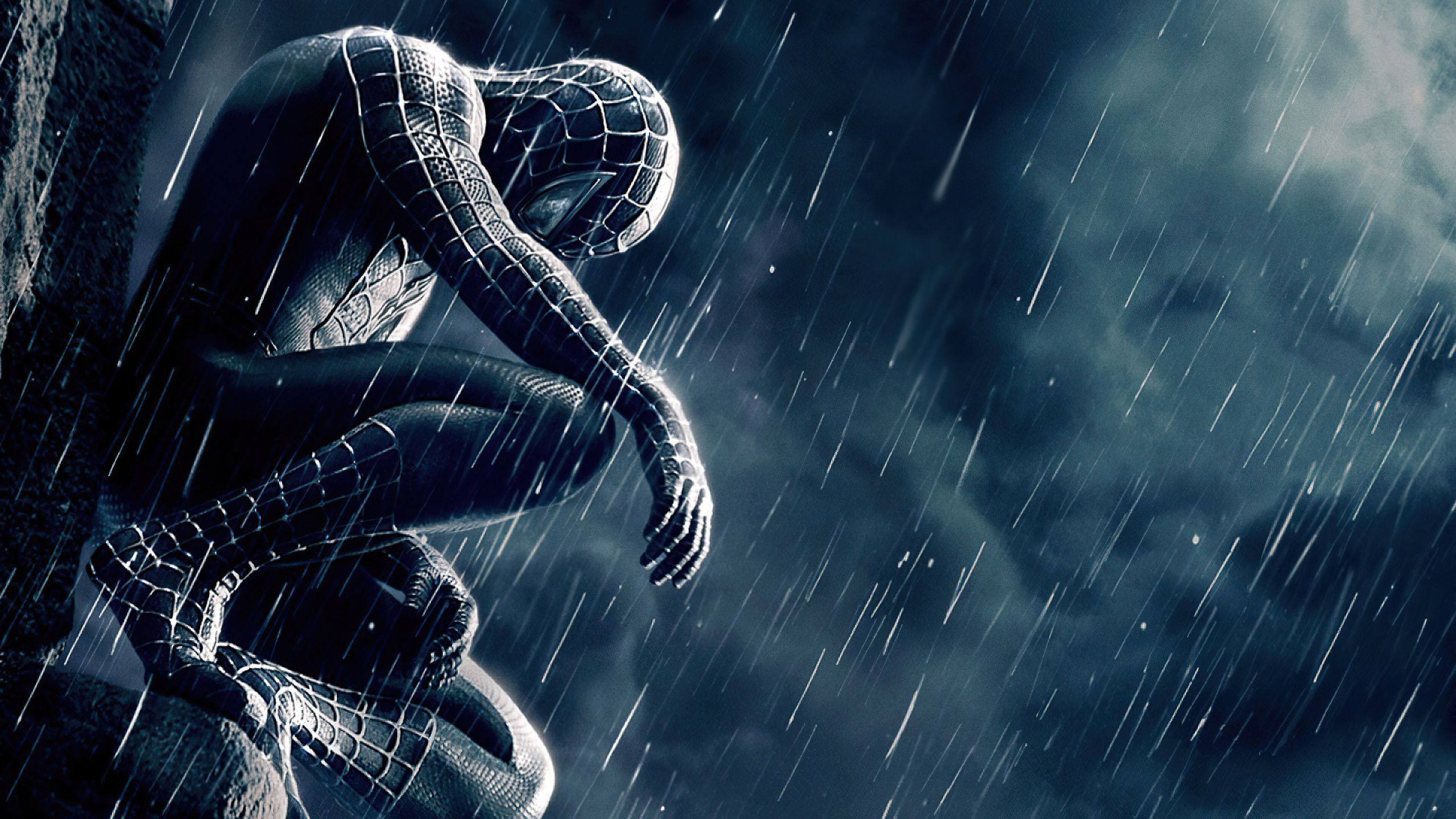 2560x1440 Dark Spider Man Wallpaper 36 Image