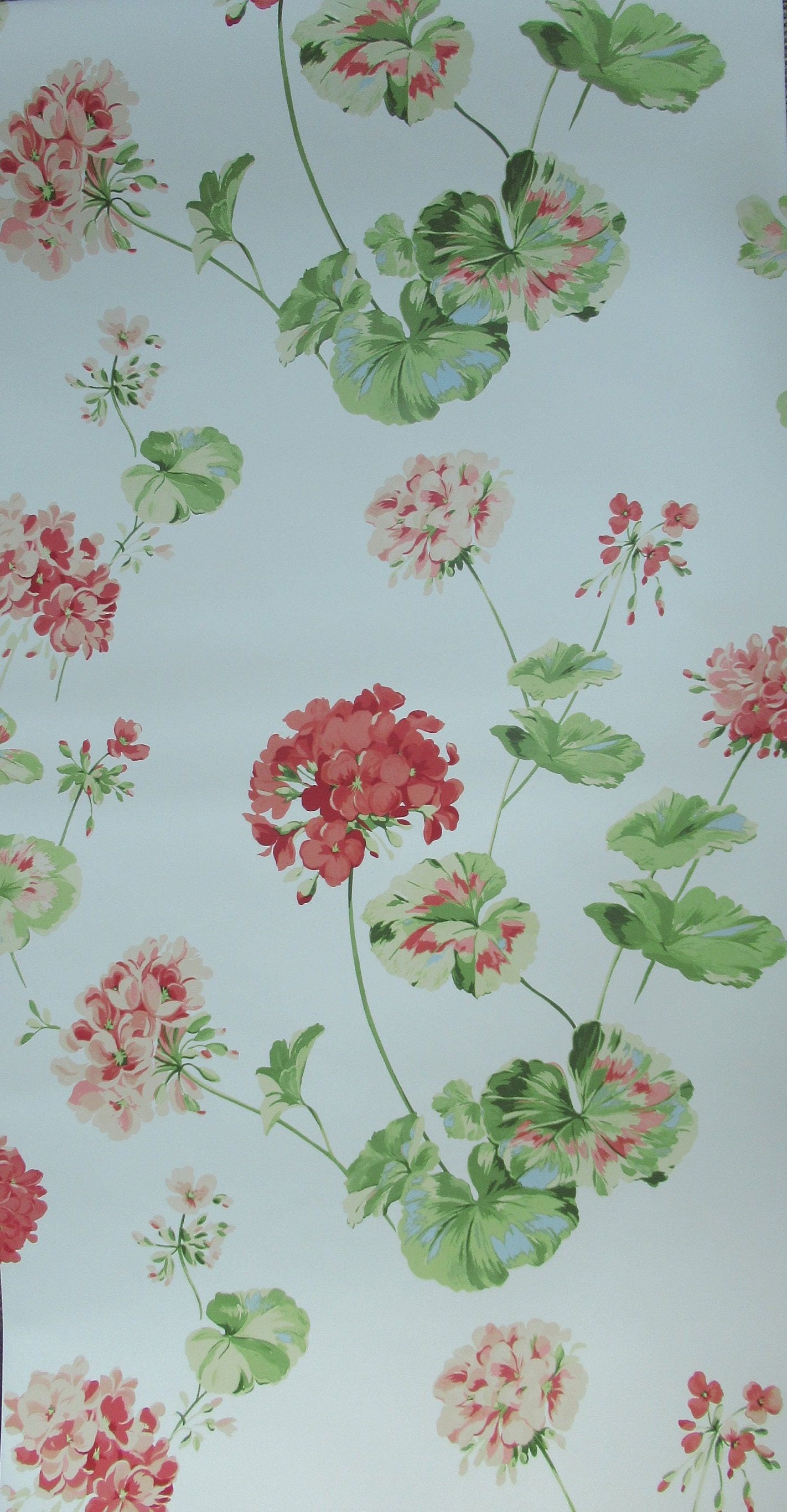 Lush Trailing Geranium Seeds Image Illustration Lush Trailing Geranium Seeds Image Illustration