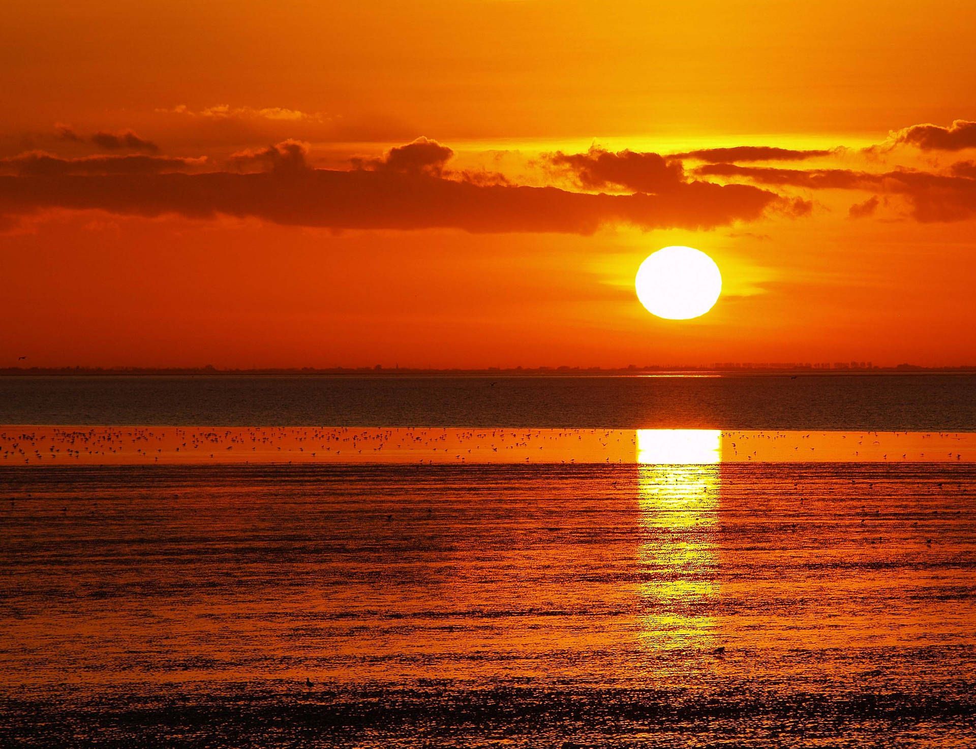 1920x1474 Beach In Norfolk, Virginia Wallpaper