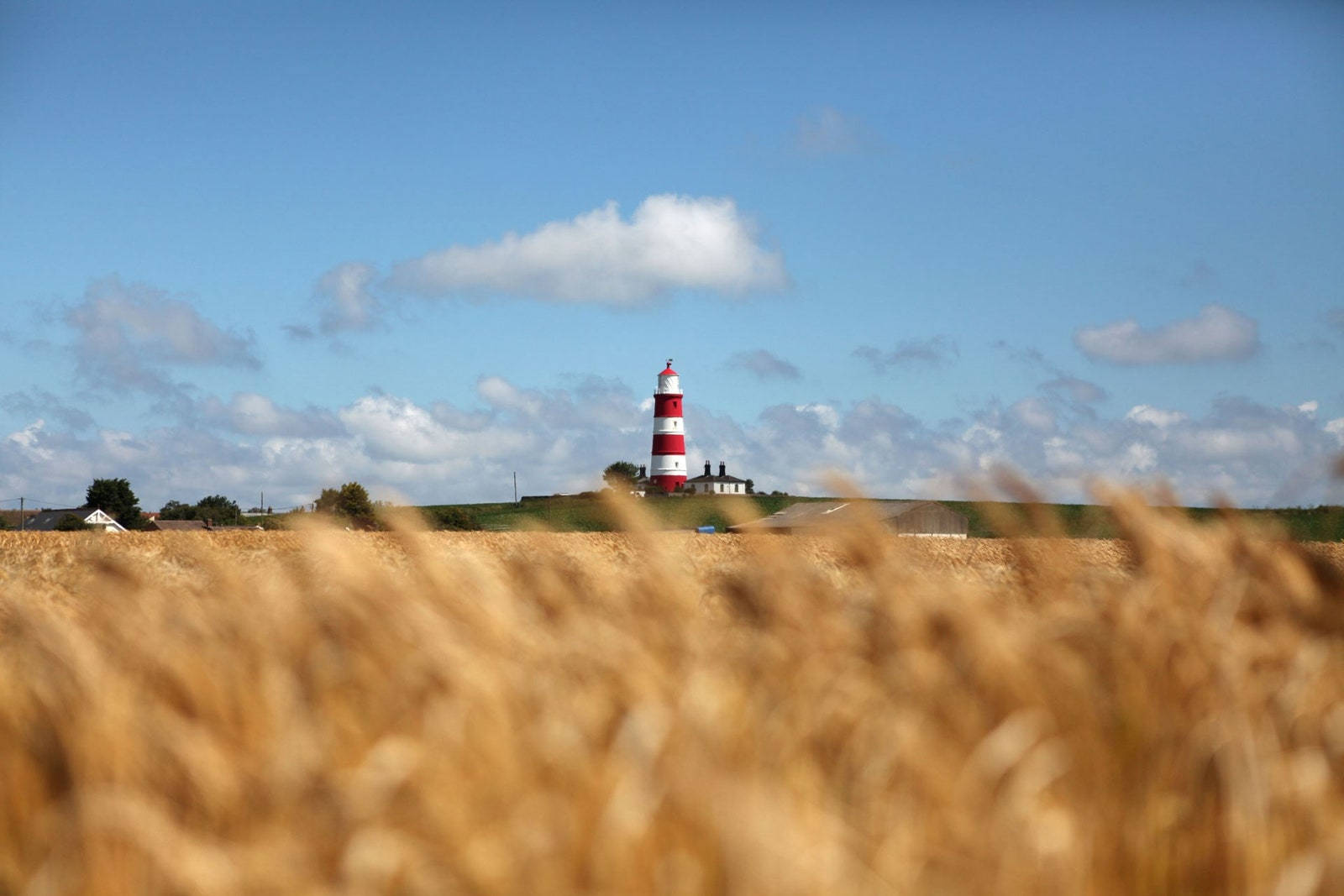 1600x1067 Norfolk Wallpaper
