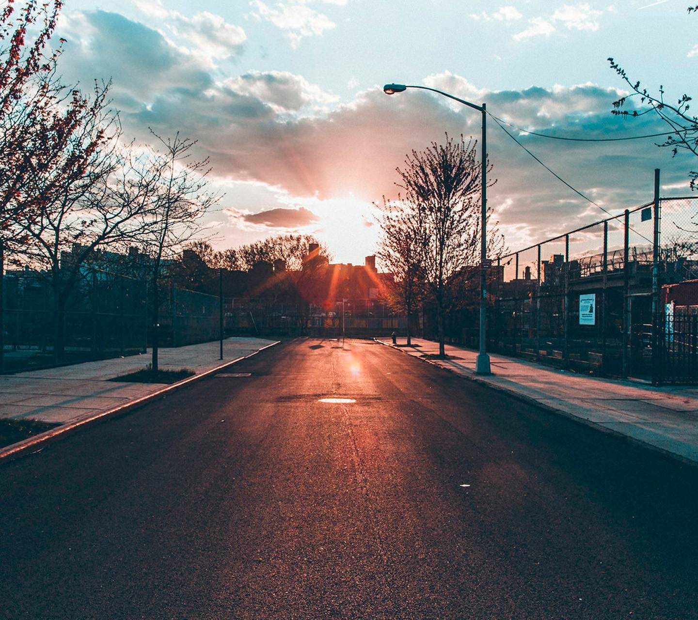 The Bronx Wallpapers Top Free The Bronx Backgrounds WallpaperAccess