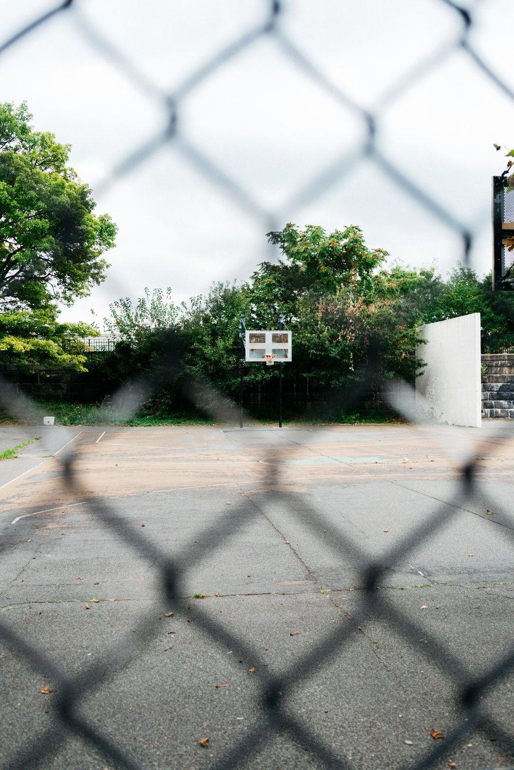 1000x1497 Bronx Picture. Download Free Image