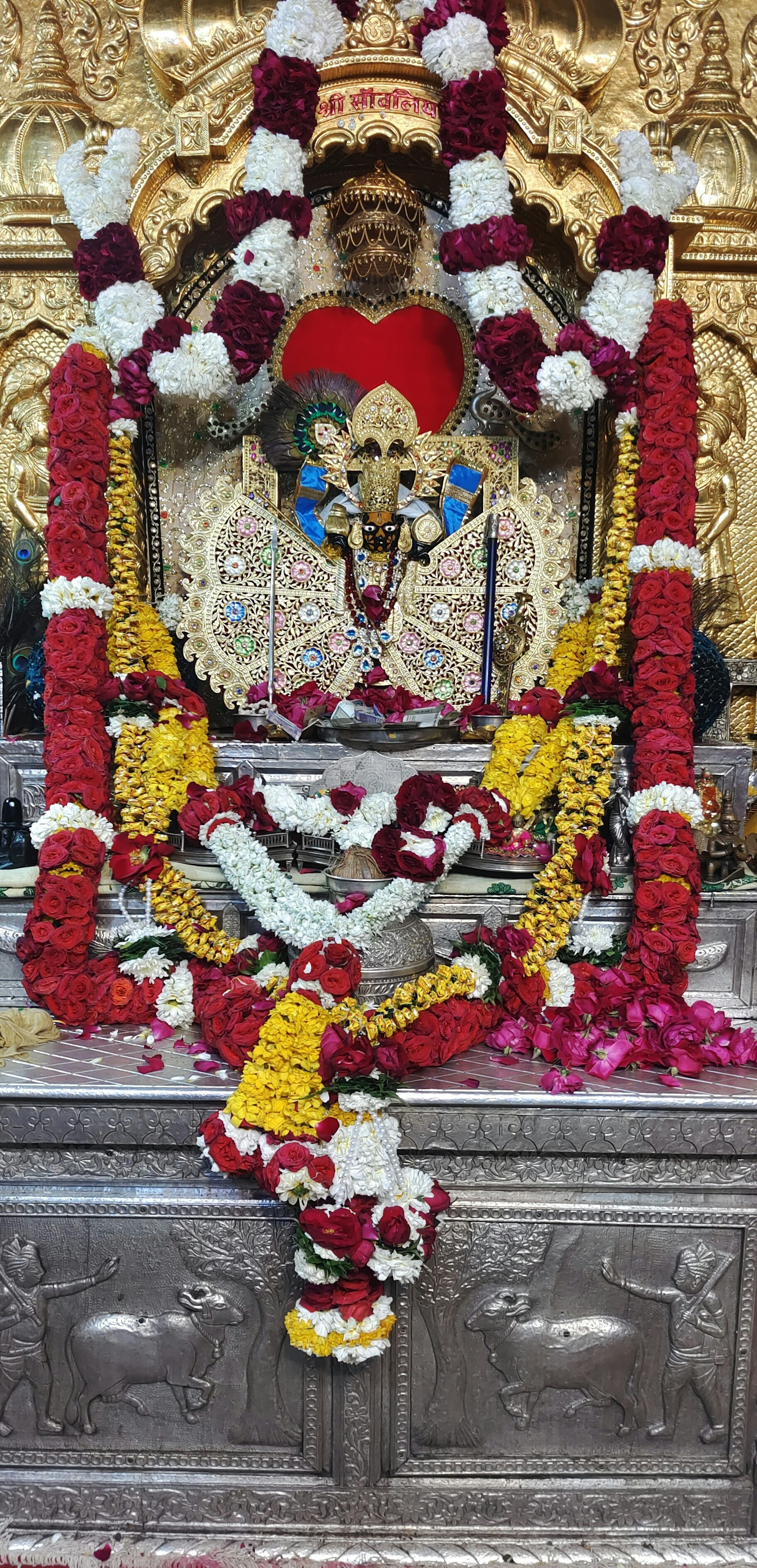 3000x6211 Chittorgarh Picture. Download Free