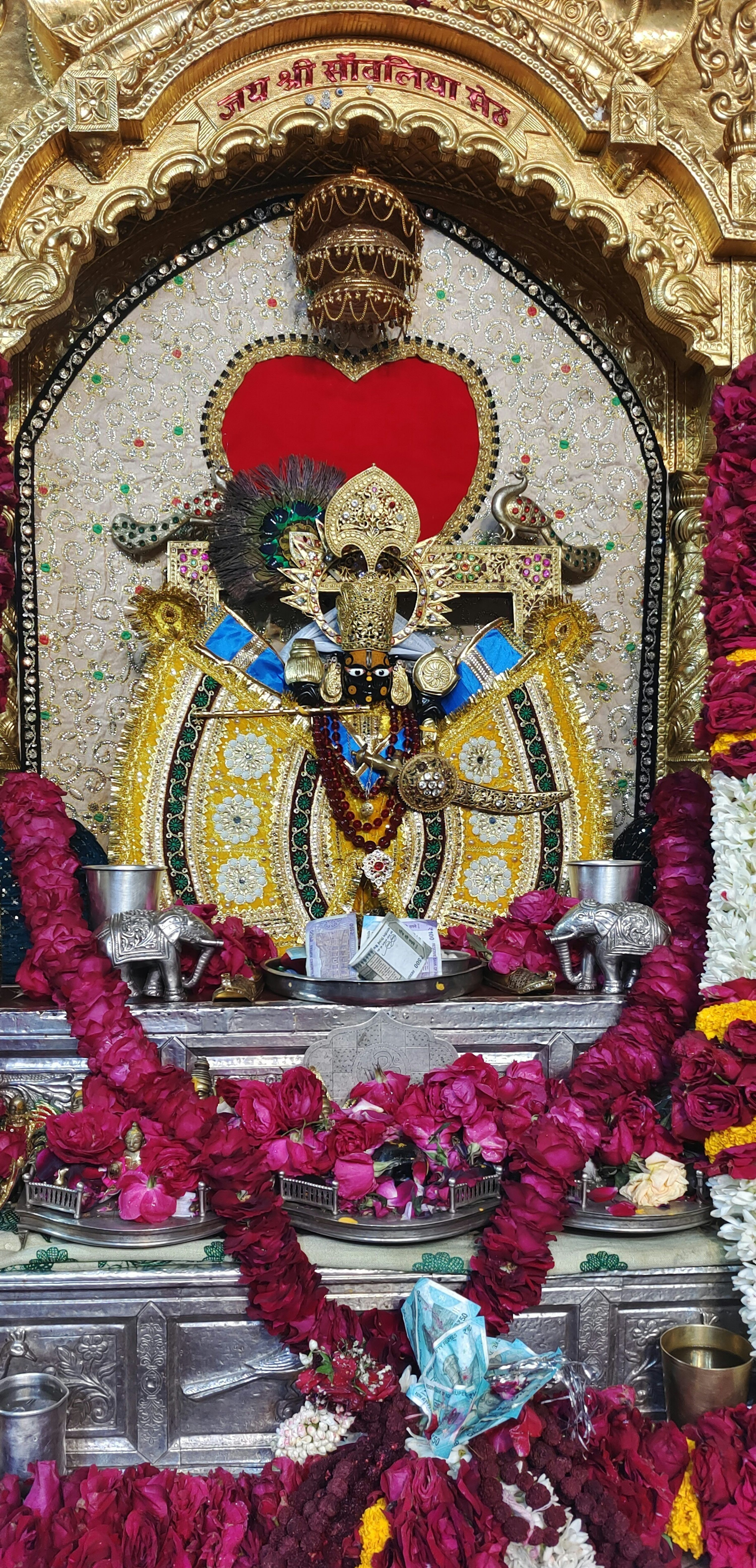 3000x6224 Chittorgarh Picture. Download Free