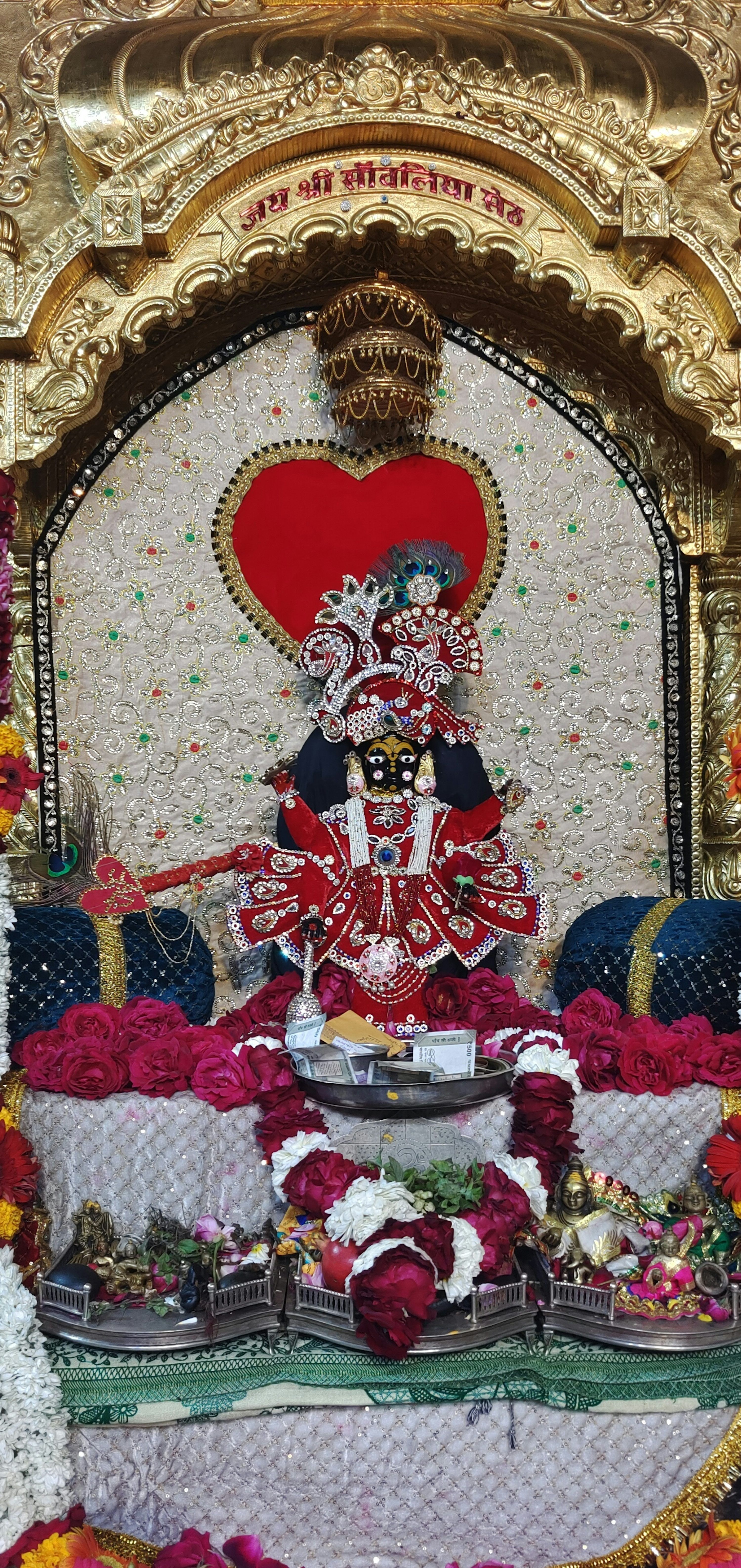 3000x6348 Chittorgarh Picture. Download Free