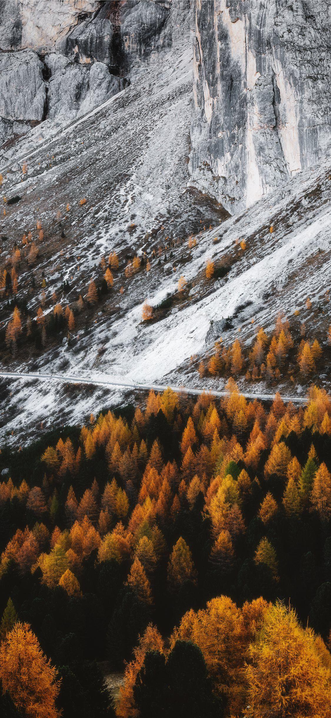 1125x2436 aerial view photography of forest iPhone 11 Wallpaper Free