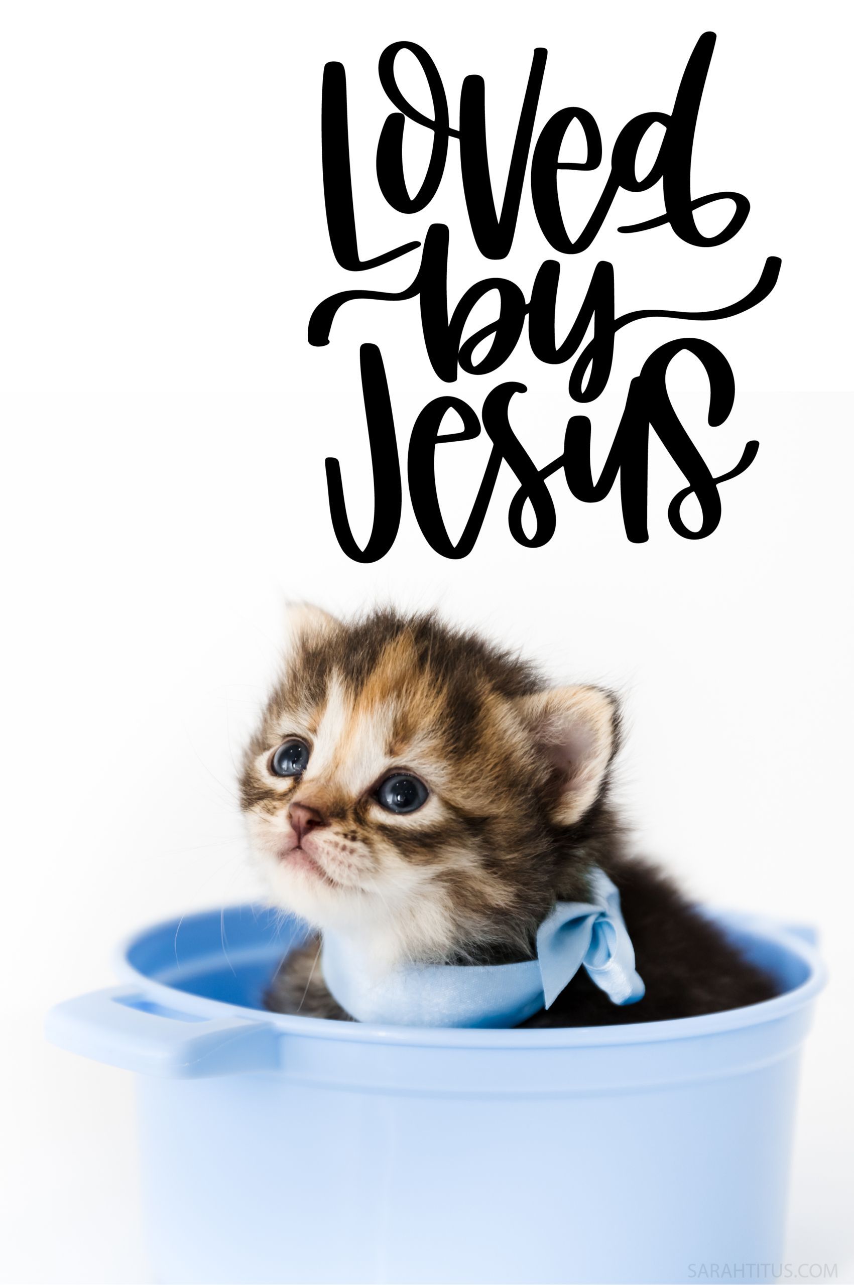 1701x2560 Loved By Jesus Kitten Cat Wallpaper