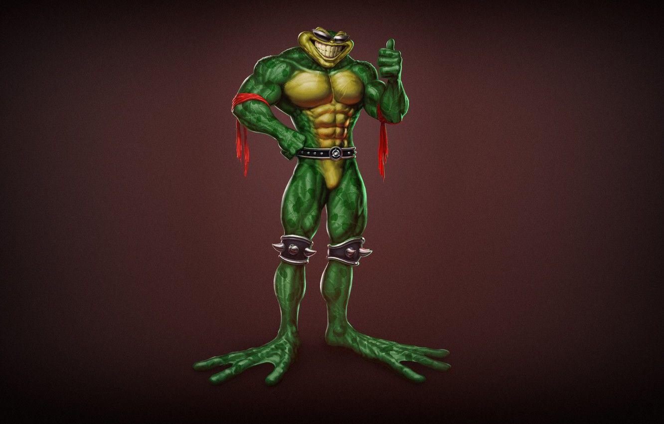 1332x850 Wallpaper Minimalism, Figure, Art, Toad, Battletoads, Rash