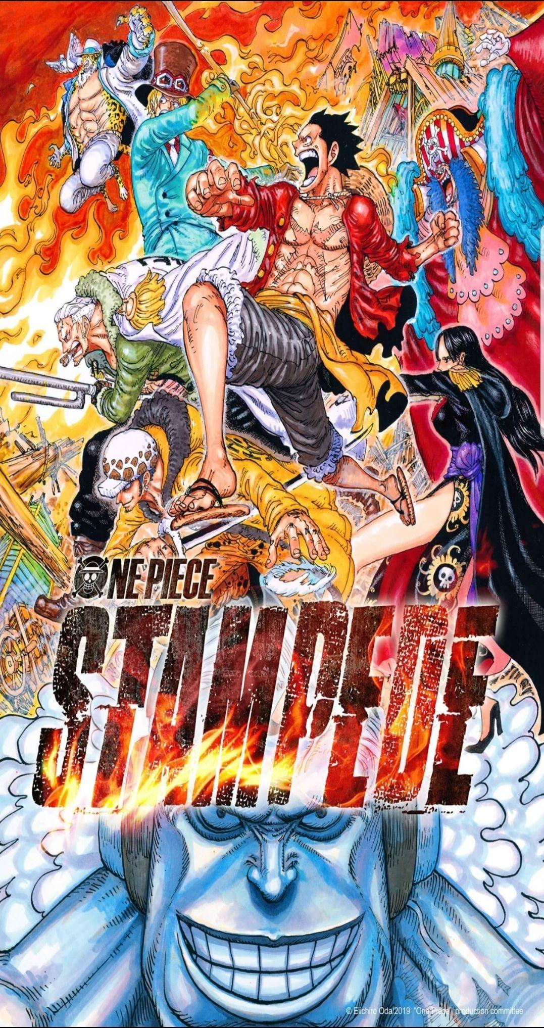 One Piece Stampede Wallpapers Top Free One Piece Stampede Backgrounds Wallpaperaccess