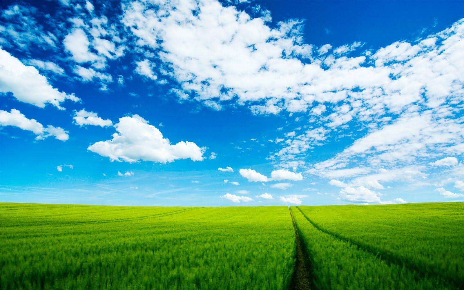 1600x1000 Sunny Sky HD desktop wallpaper : Widescreen : High