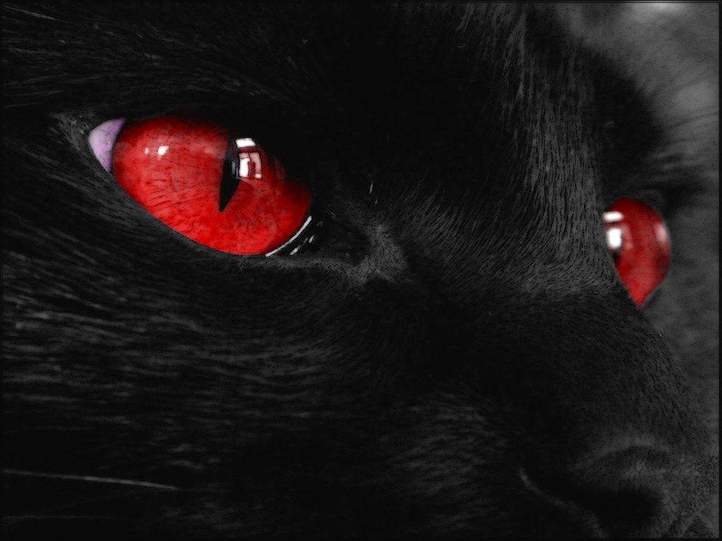 1024x768 The Best Top Desktop Hd Dark Black Wallpaper Dark Black W