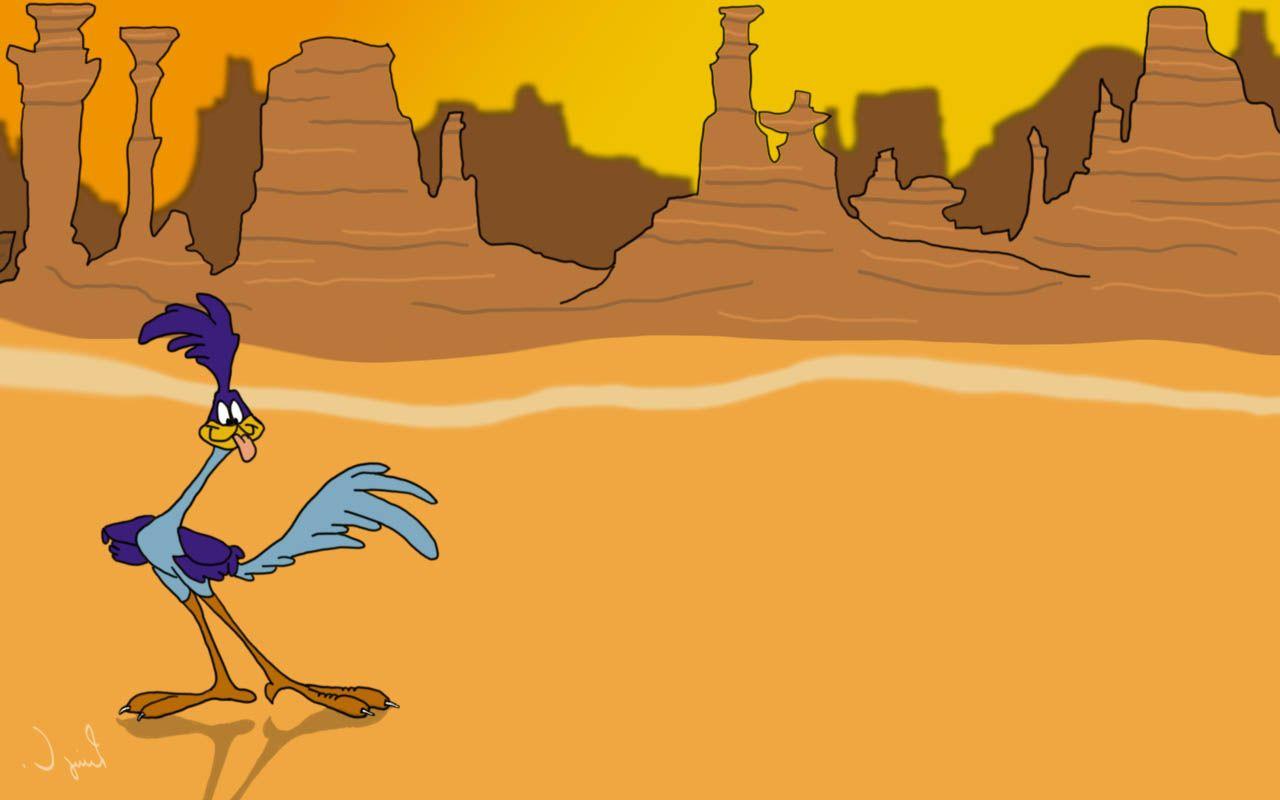 Roadrunner Photos Download The BEST Free Roadrunner Stock Photos  HD  Images