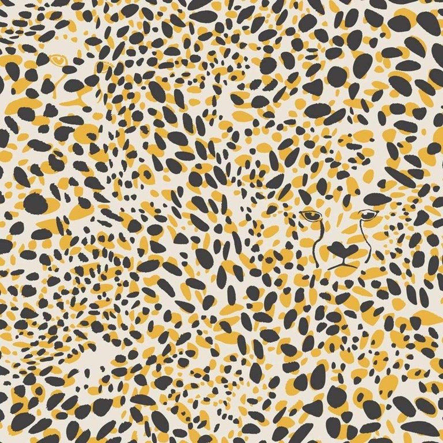 Cheetah Print Wallpapers - Top Free Cheetah Print Backgrounds ...