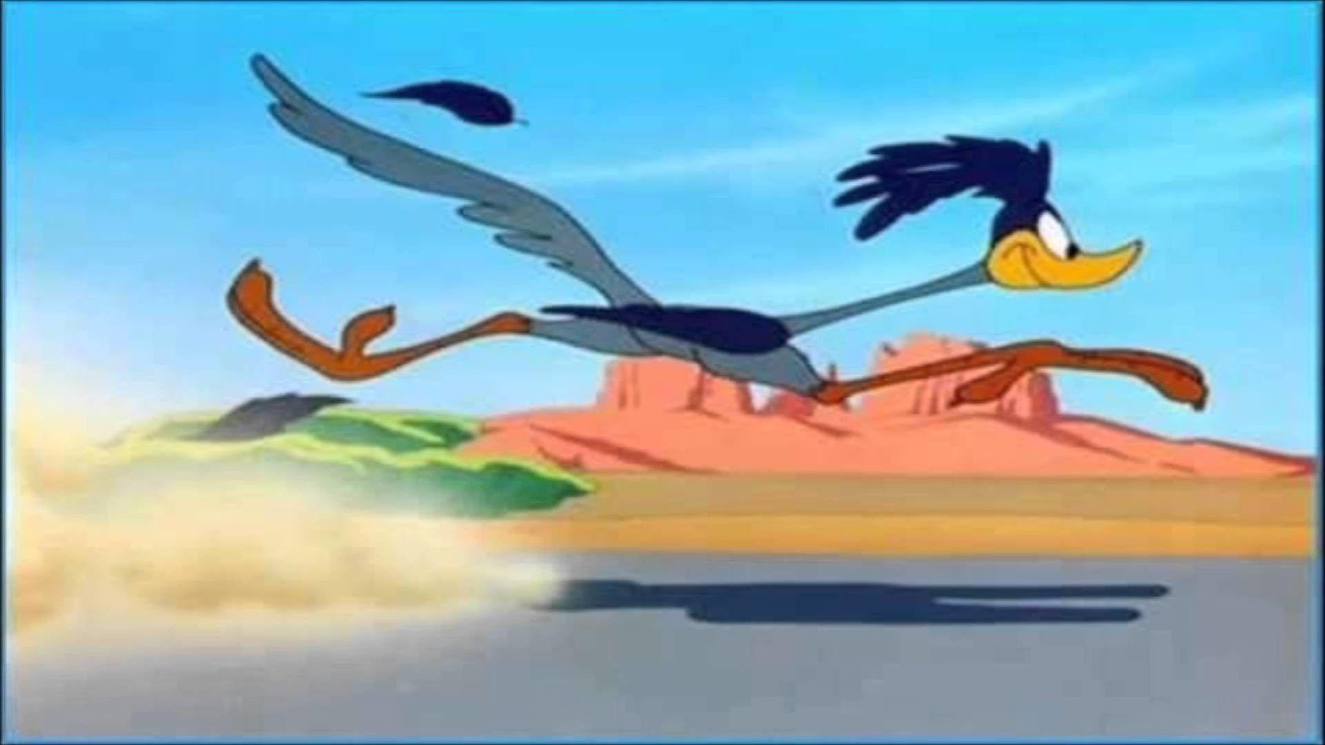 Road Runner Wallpapers - Top Free Road Runner Backgrounds - WallpaperAccess