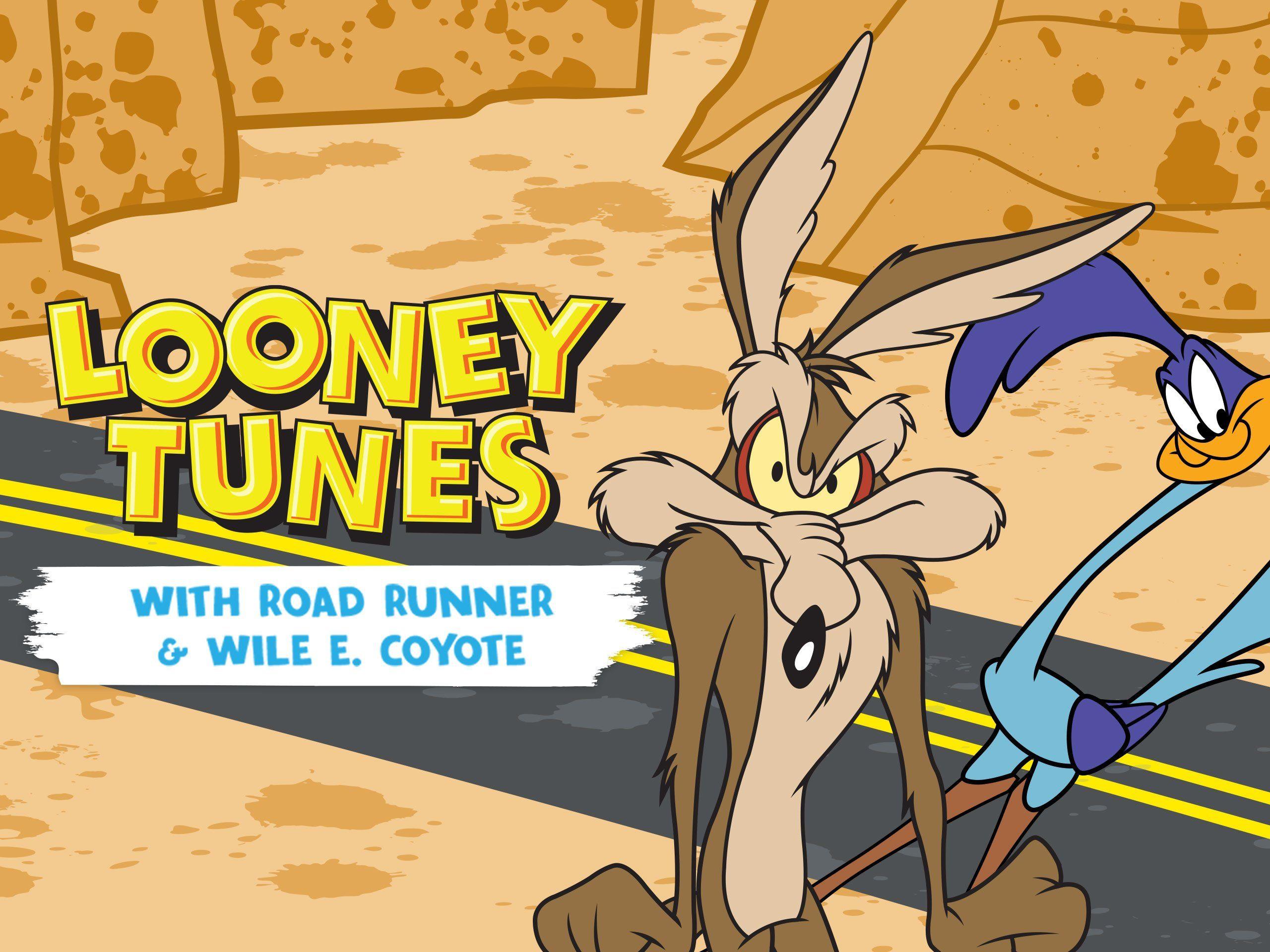 Wile E Coyote And Roadrunner Wallpaper