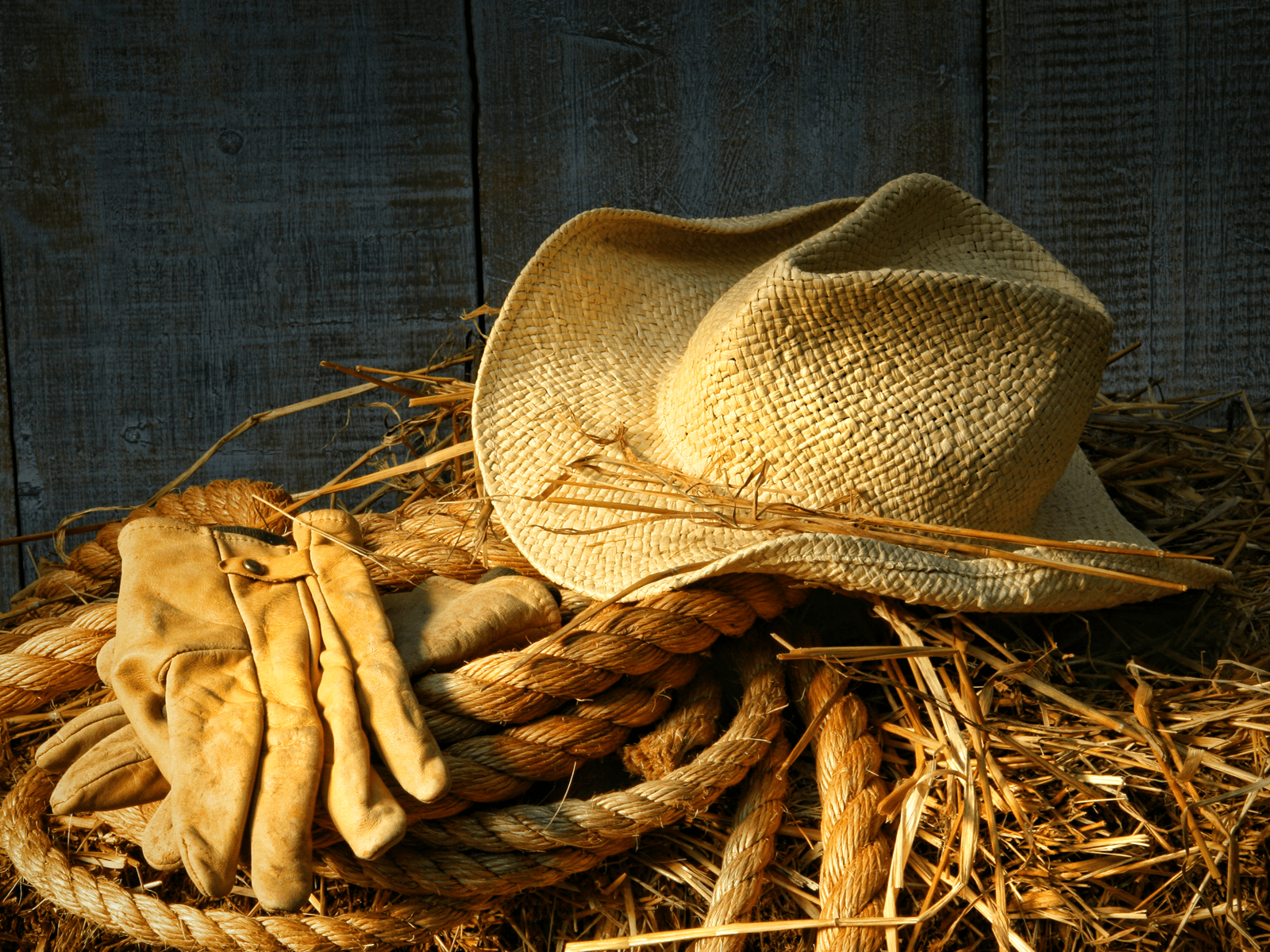 1600x1200 Country Girl Desktop Background