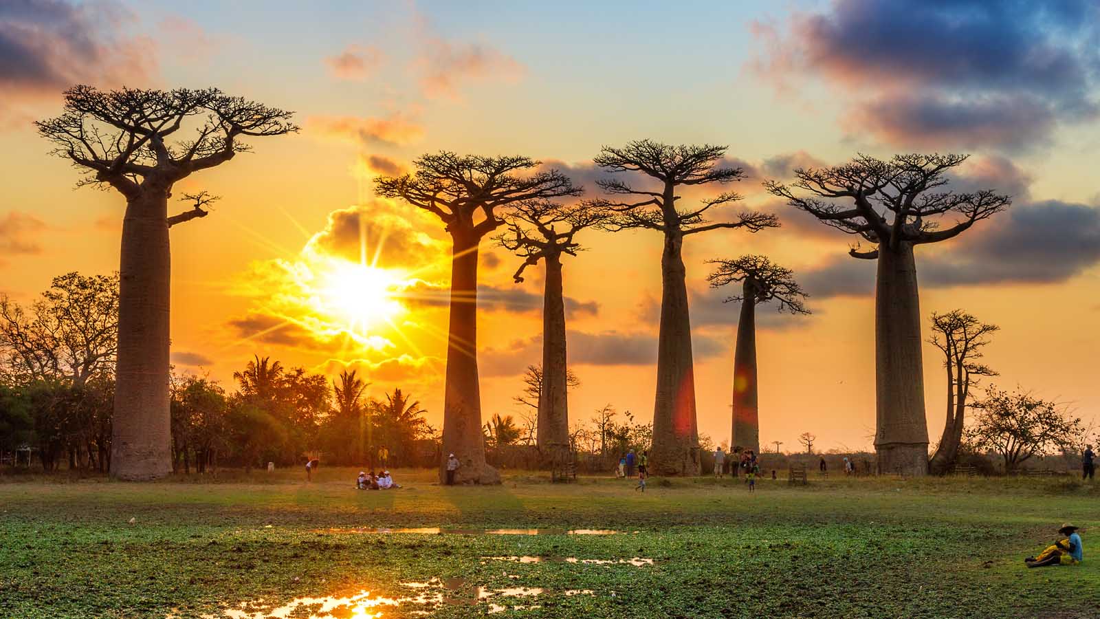 1600x900 Madagascar Country Wallpaper