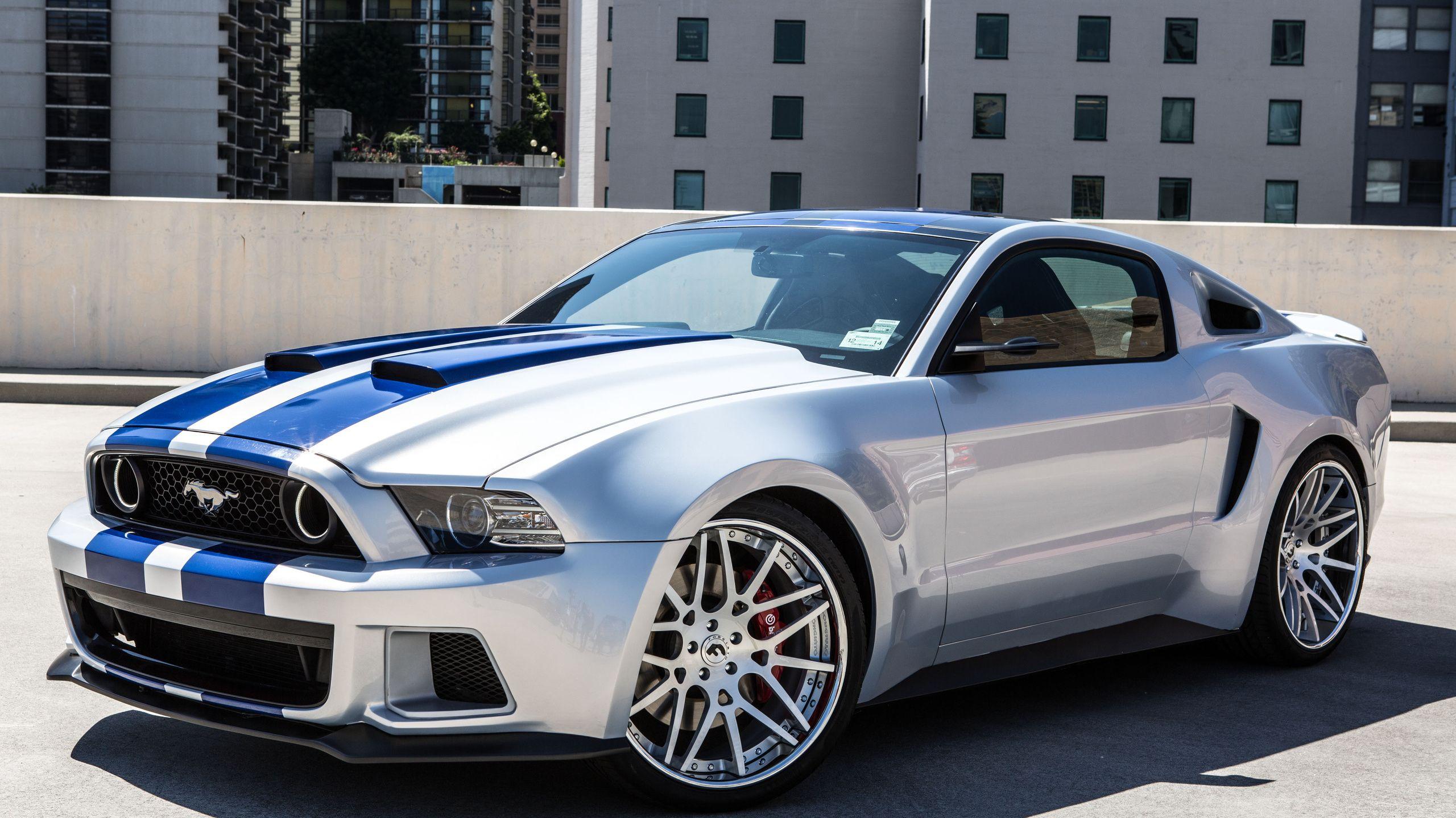2560x1440 Ford Mustang Shelby HD Wallpaper