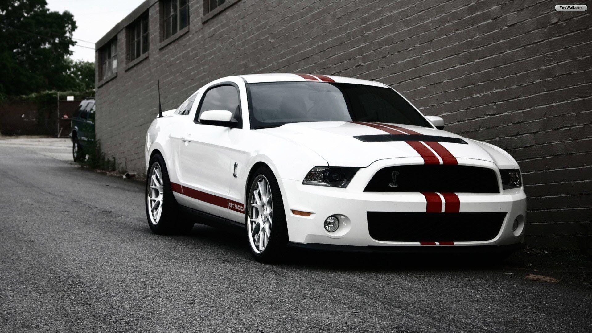 Shelby Wallpapers - Top Free Shelby Backgrounds - WallpaperAccess