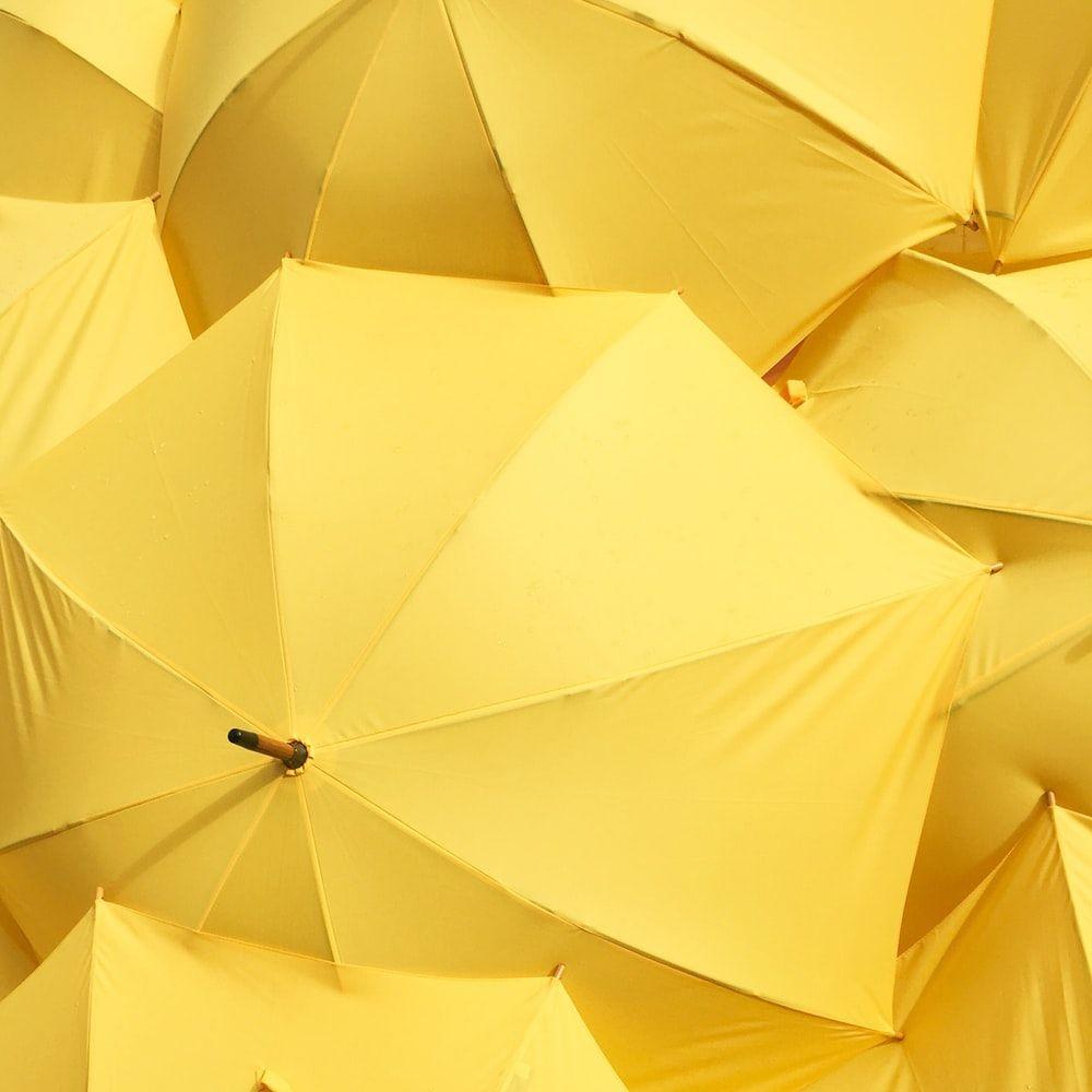 Yellow Umbrella Wallpapers Top Free Yellow Umbrella Backgrounds