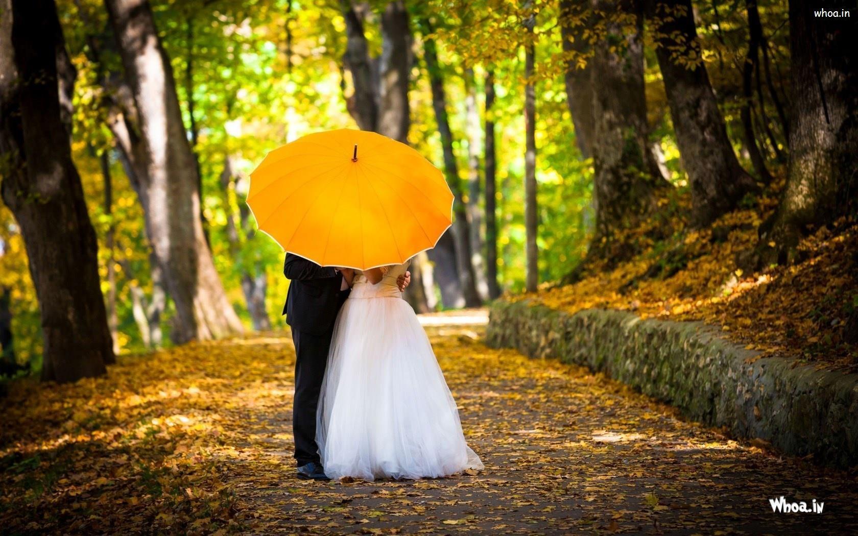 1680x1050 Young Married Couple Kissing In Yellow Umbrella HD Couple